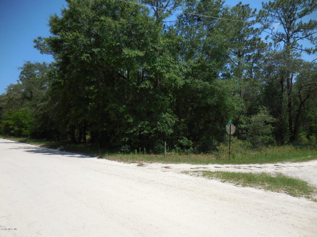0 SE 26 Street, Morriston, FL 32668