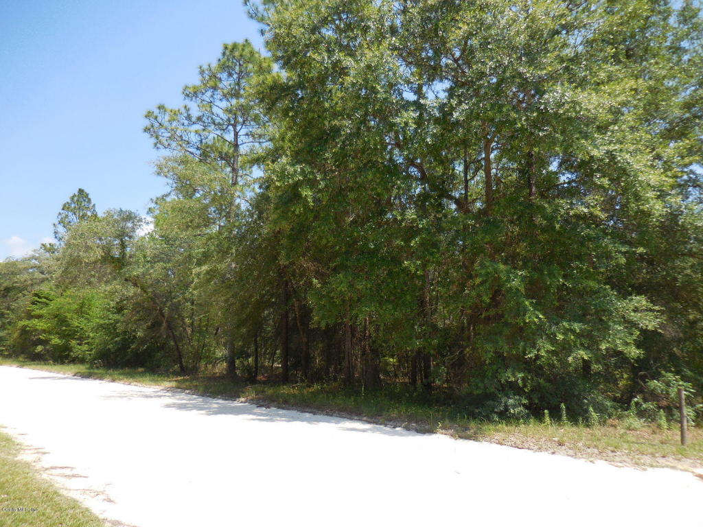0 SE 26 Street, Morriston, FL 32668
