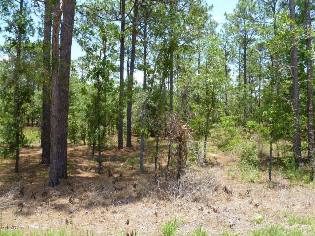 0 SE 26th Street, Morriston, FL 32668