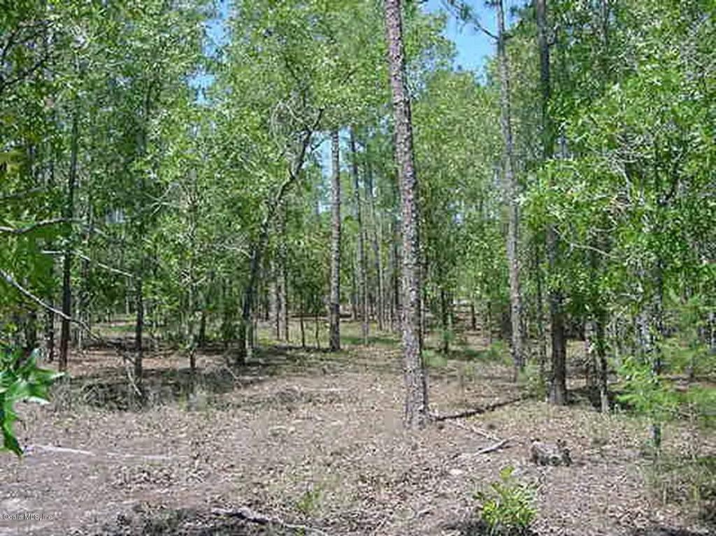 0 SE 145th Terrace, Morriston, FL 32668
