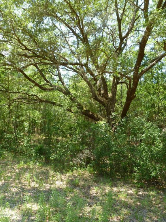 0 SE 145th Terrace, Morriston, FL 32668