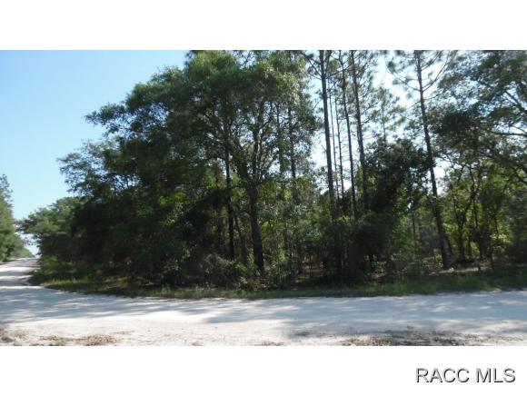6 NE 120th Avenue, Morriston, FL 32668