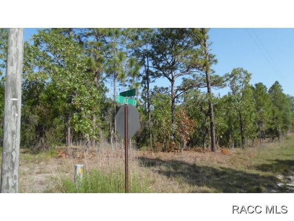 6 SE 141st Court, Morriston, FL 32668