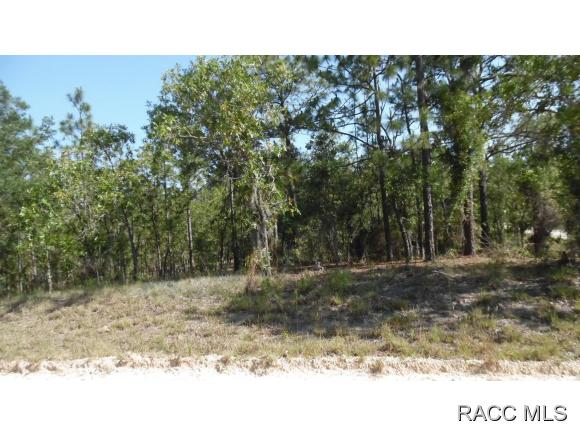 6 SE 141st Court, Morriston, FL 32668