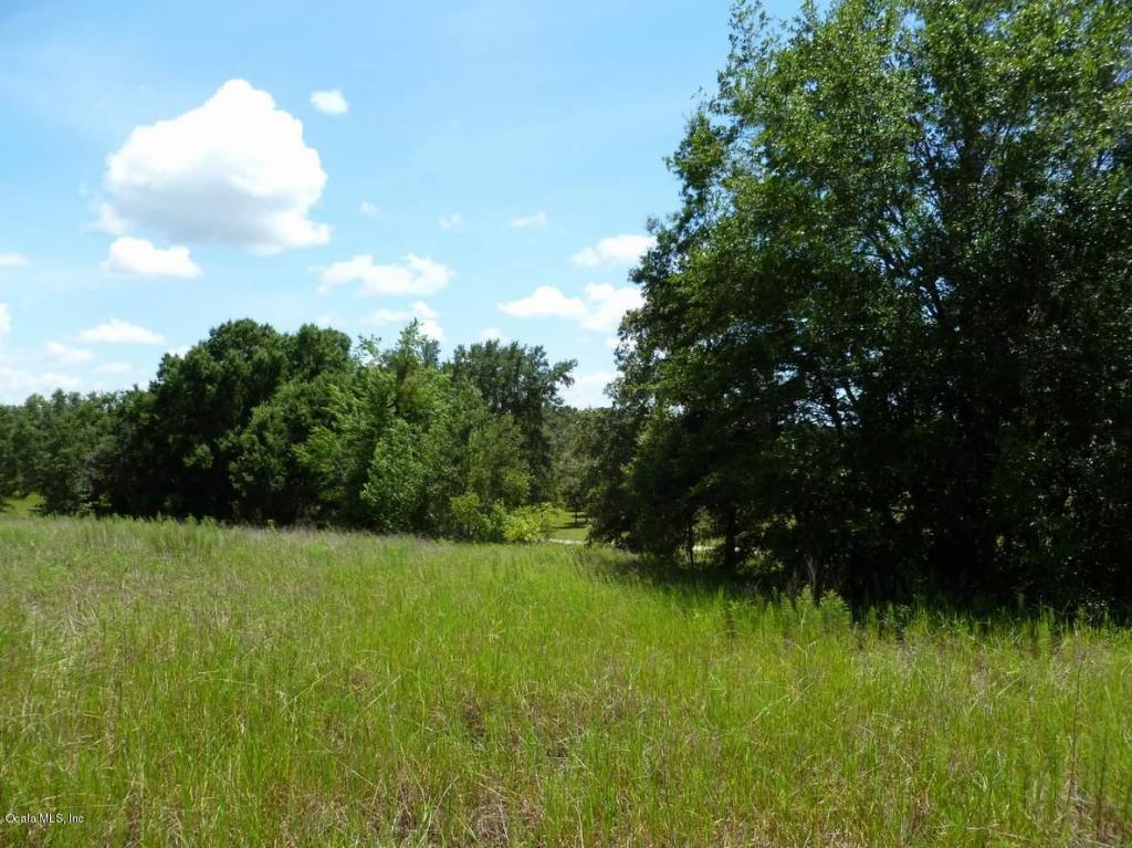 0 SE 60th Street, Morriston, FL 32668