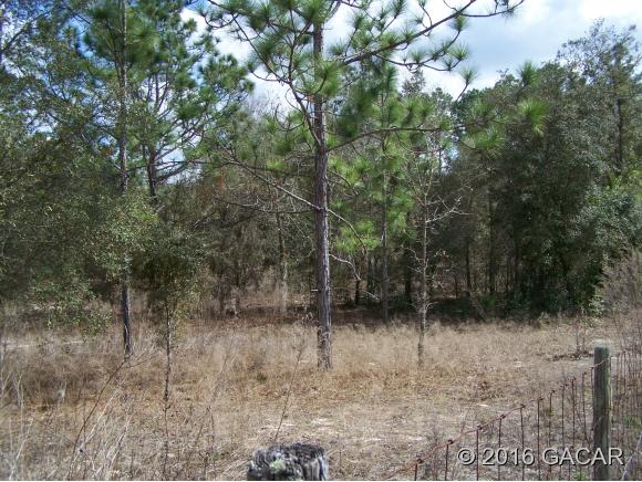 000 Southeast 194 Court, Morriston, FL 32668