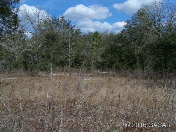 000 Southeast 194 Court, Morriston, FL 32668