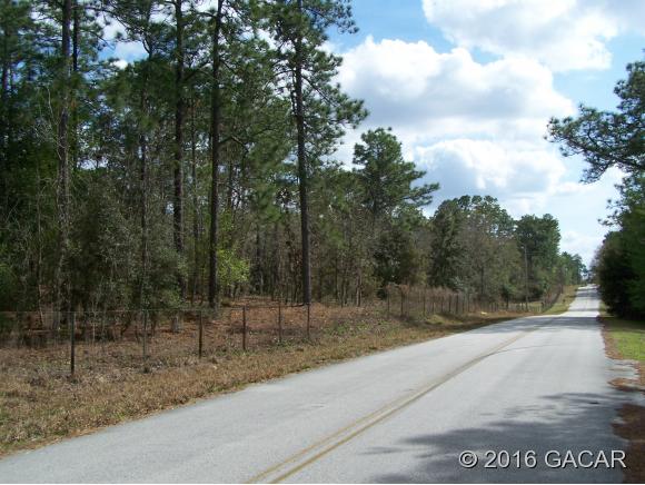 00 Southeast 194 Court, Morriston, FL 32668