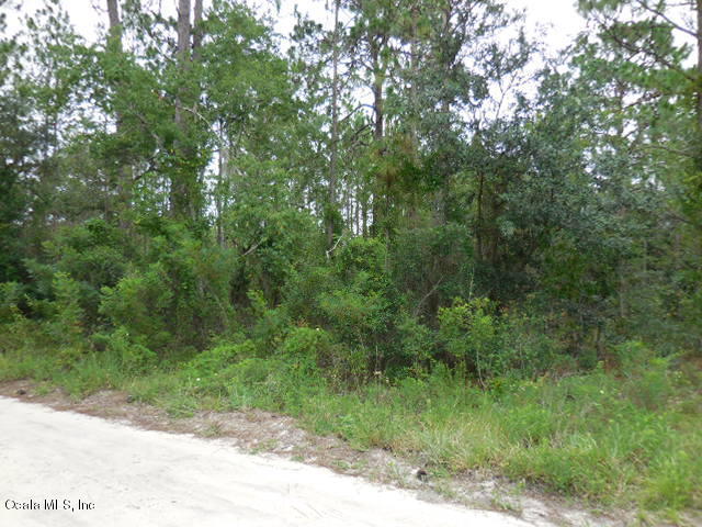 0 SE 40 Street, Morriston, FL 32668