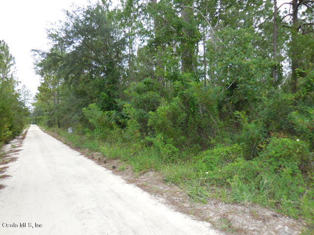0 SE 40 Street, Morriston, FL 32668