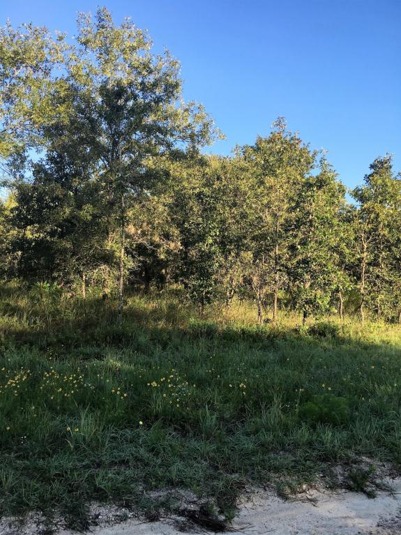 TBD SE 114th Ave, Morriston, FL 32668