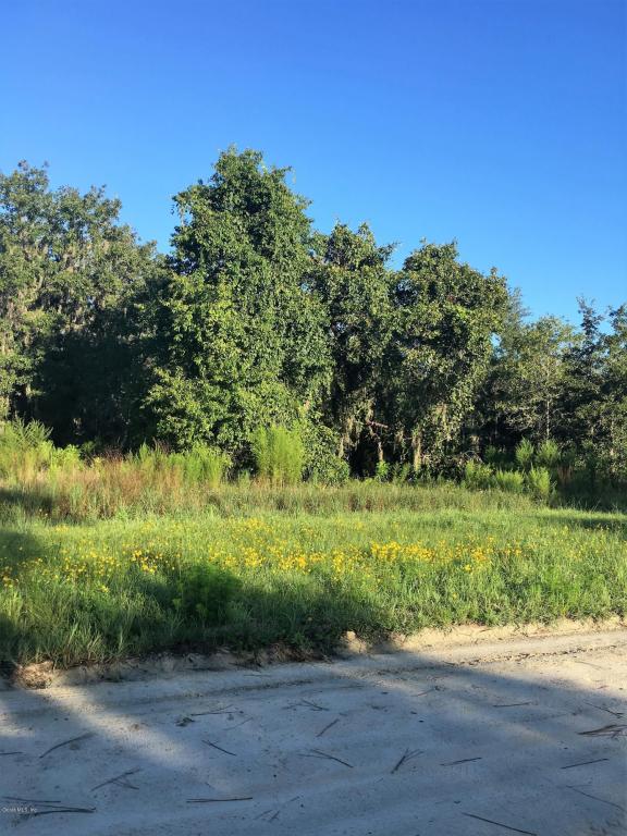 TBD SE 114th Ave, Morriston, FL 32668