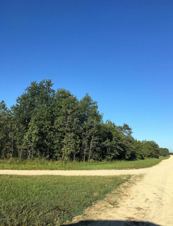 TBD SE 114th Ave, Morriston, FL 32668