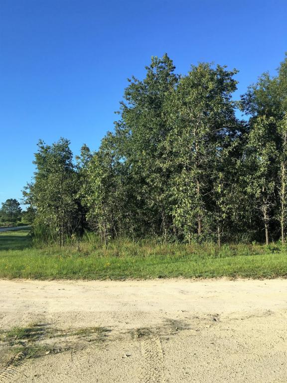 TBD SE 114th Ave, Morriston, FL 32668