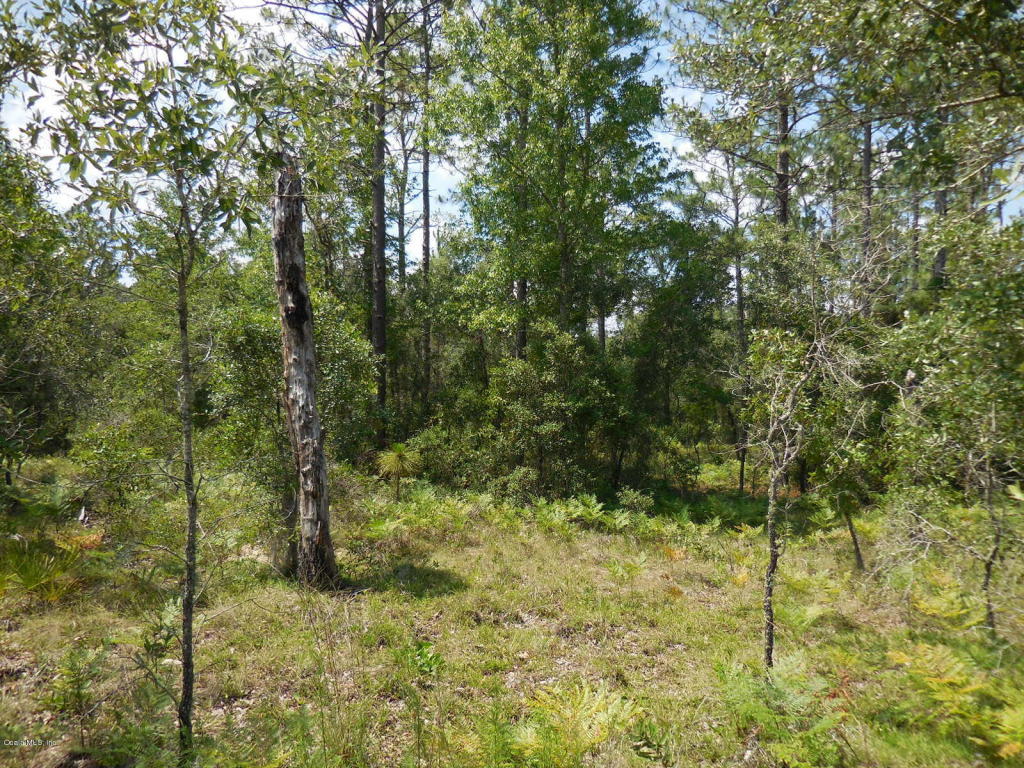 0 SE 71 Place & SE 120 Ct, Morriston, FL 32668