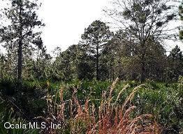 0 SE 140 AVE, Morriston, FL 32668