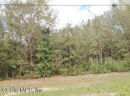 0 SE 140 AVE, Morriston, FL 32668