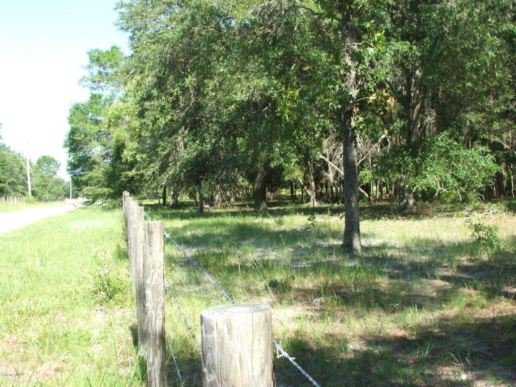 0 SE 42ND Place, Morriston, FL 32668