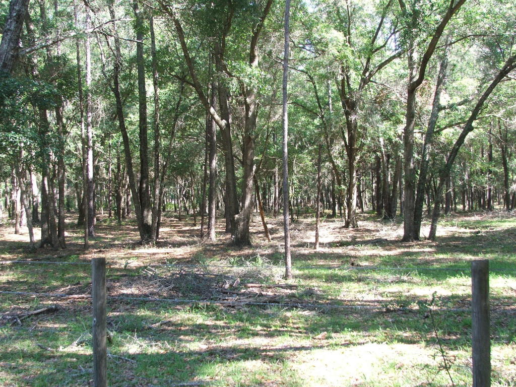 0 SE 42ND Place, Morriston, FL 32668