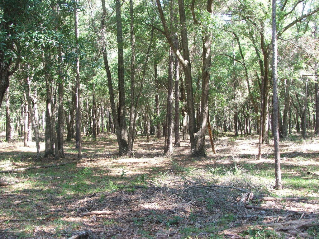 0 SE 42ND Place, Morriston, FL 32668