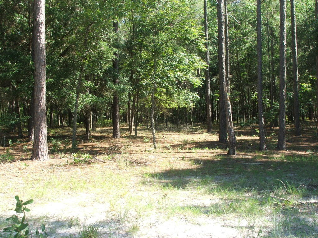 0 SE 42ND Place, Morriston, FL 32668