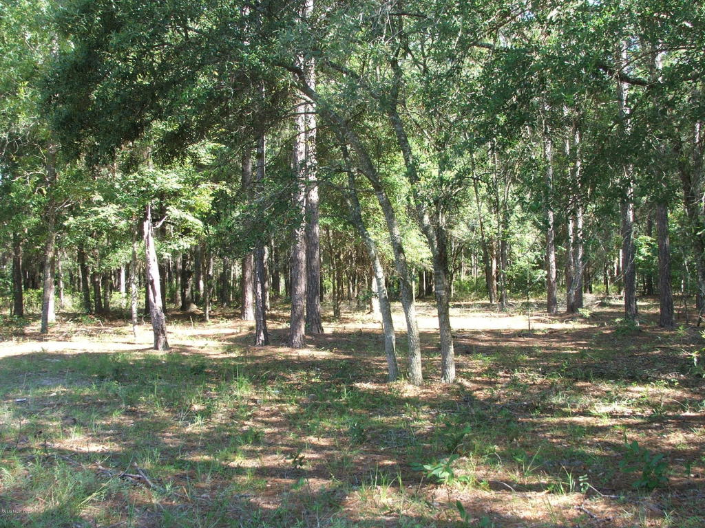 0 SE 42ND Place, Morriston, FL 32668