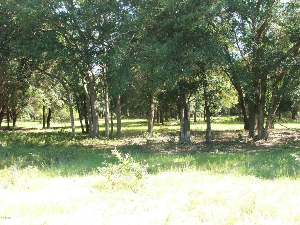 0 SE 42ND Place, Morriston, FL 32668