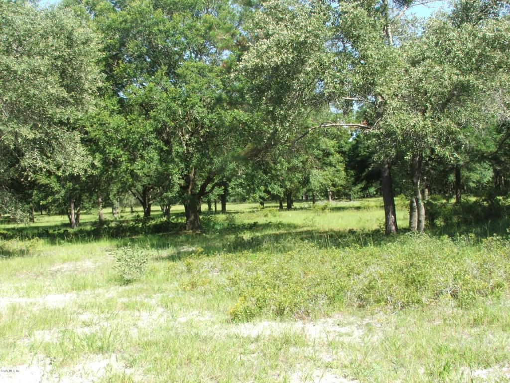 0 SE 42nd Place, Morriston, FL 32668