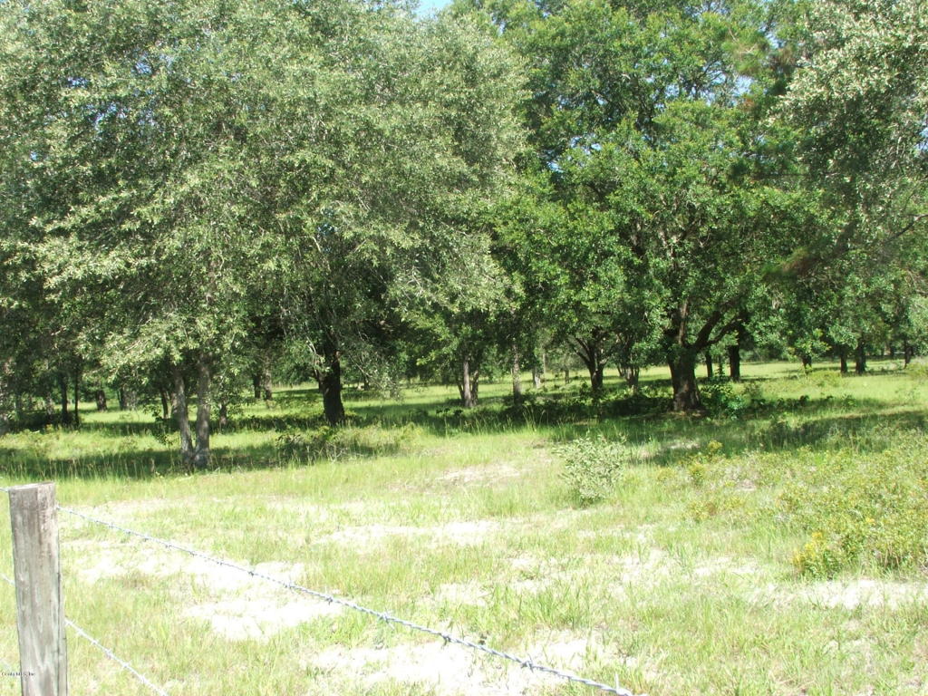 0 SE 42nd Place, Morriston, FL 32668