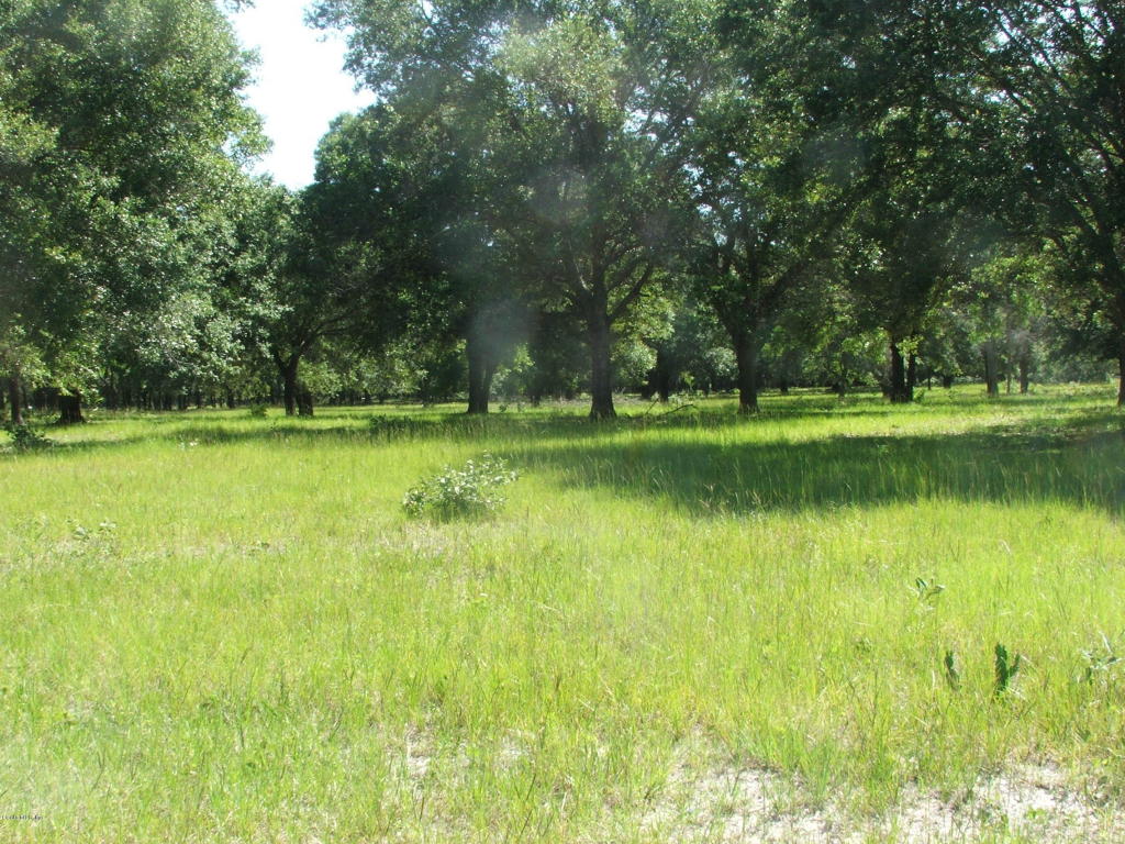 0 SE 42nd Place, Morriston, FL 32668