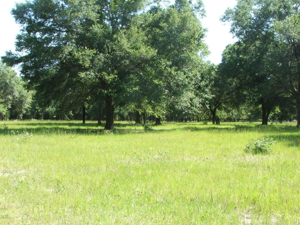 0 SE 42nd Place, Morriston, FL 32668