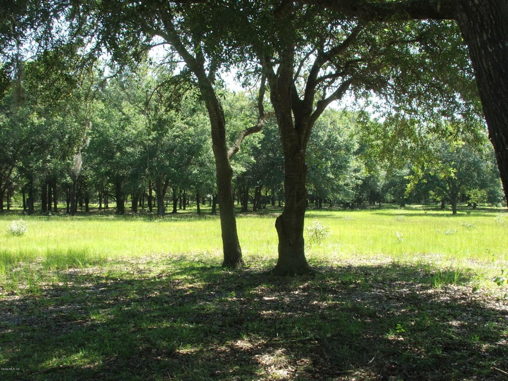 0 SE 42nd Place, Morriston, FL 32668