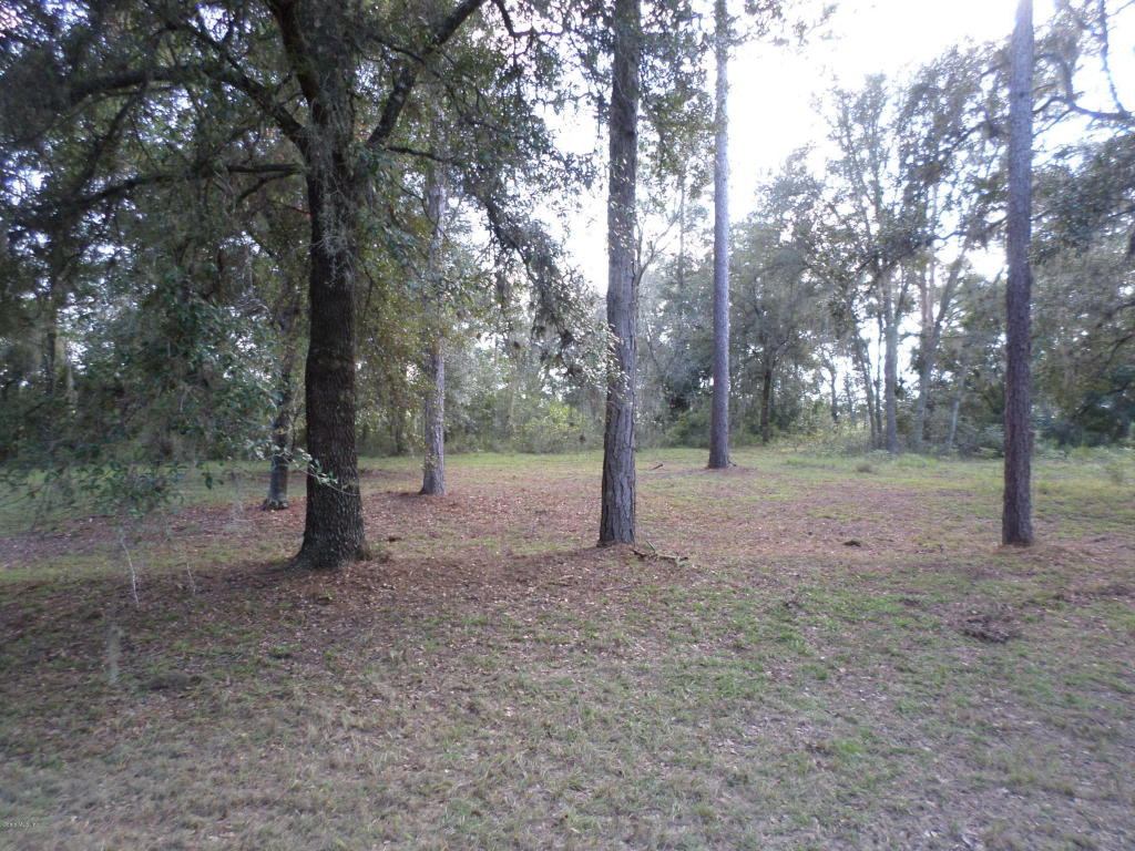 14750 SE 66th Place, Morriston, FL 32668