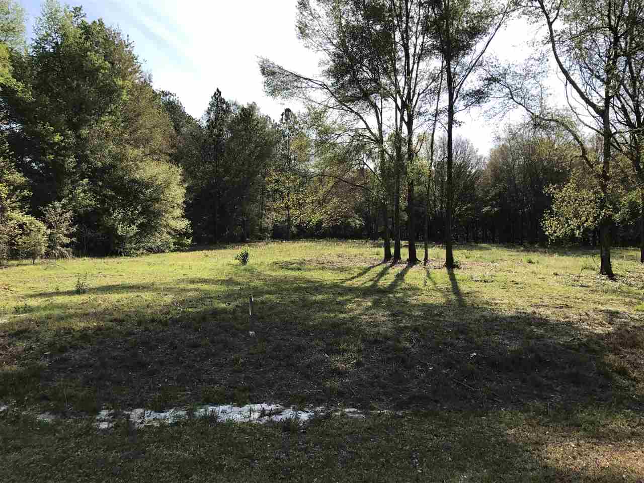 213 SW 165 Street, Newberry, FL 32669