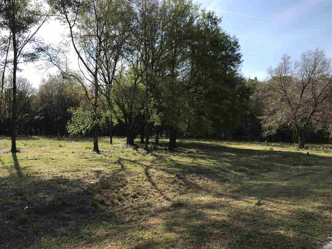 213 SW 165 Street, Newberry, FL 32669
