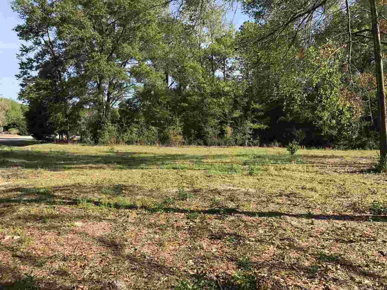 213 SW 165 Street, Newberry, FL 32669