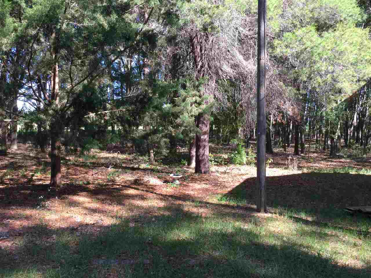 27910 NW 46th Avenue, Newberry, FL 32669