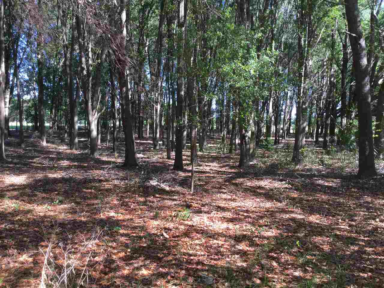 27910 NW 46th Avenue, Newberry, FL 32669
