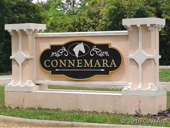 162 Southwest 145th Drive, Newberry, FL 32669