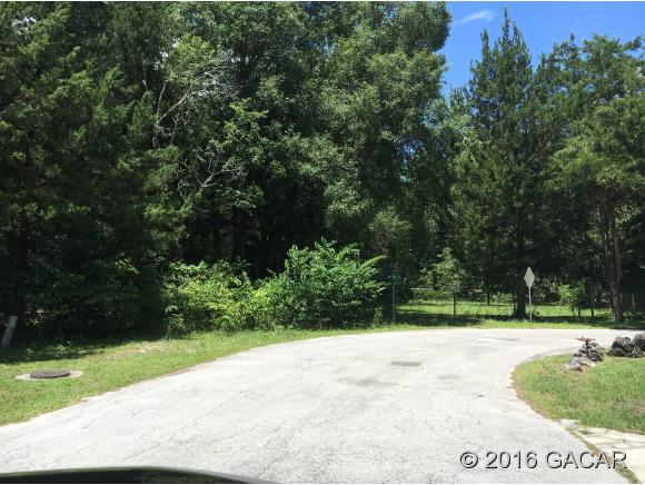 1010 Southwest 253rd Terrace, Newberry, FL 32669