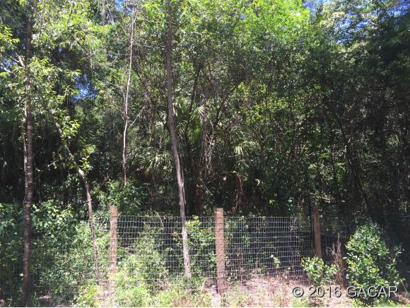 1010 Southwest 253rd Terrace, Newberry, FL 32669