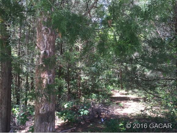 1010 Southwest 253rd Terrace, Newberry, FL 32669