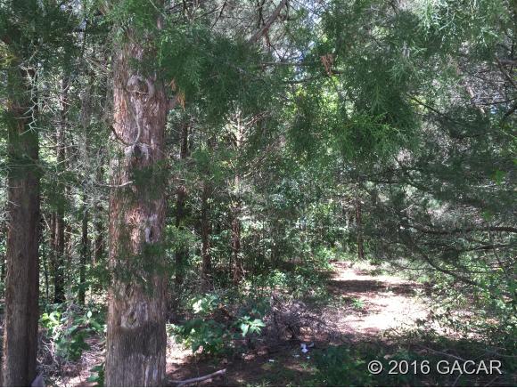 1010 Southwest 253rd Terrace, Newberry, FL 32669
