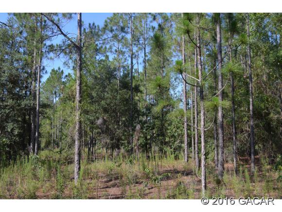 0000 Southwest 90 Avenue, Newberry, FL 32669
