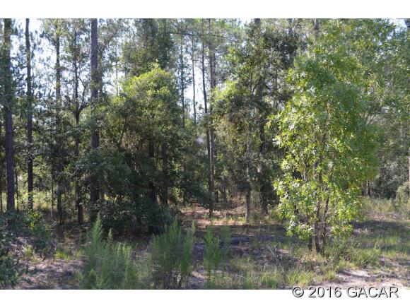 0000 Southwest 90 Avenue, Newberry, FL 32669