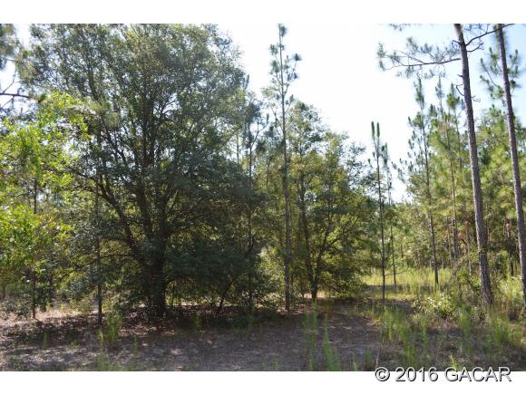 0000 Southwest 90 Avenue, Newberry, FL 32669