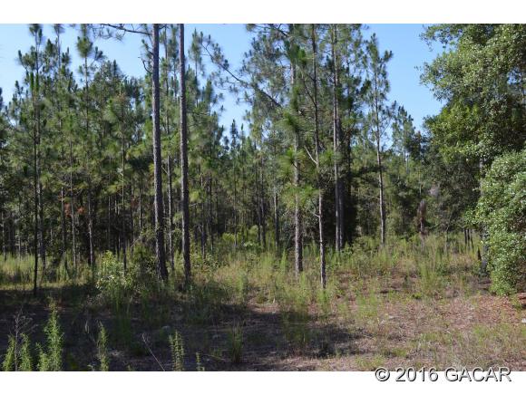 0000 Southwest 90 Avenue, Newberry, FL 32669