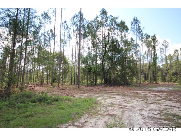2973 Northwest 170 Street, Newberry, FL 32669