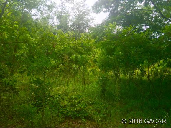 461 Southwest US Highway 140th, Newberry, FL 32669