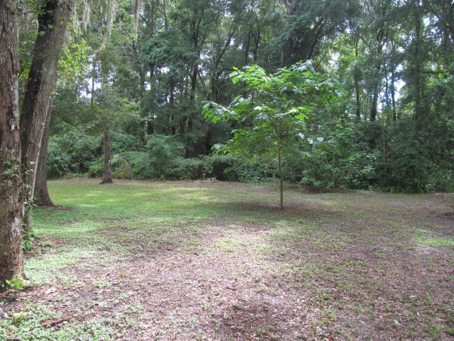 76 NE 600th StreetOld Town, FL, 32680Dixie County